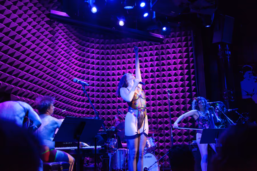 Photos: The Skivvies Got Down To It With A Roster Of Guests That Brought More Than Just Skin To Joe's Pub Image
