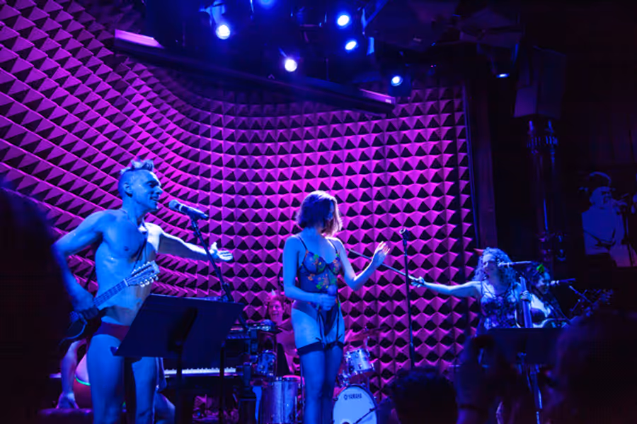 Photos: The Skivvies Got Down To It With A Roster Of Guests That Brought More Than Just Skin To Joe's Pub Image