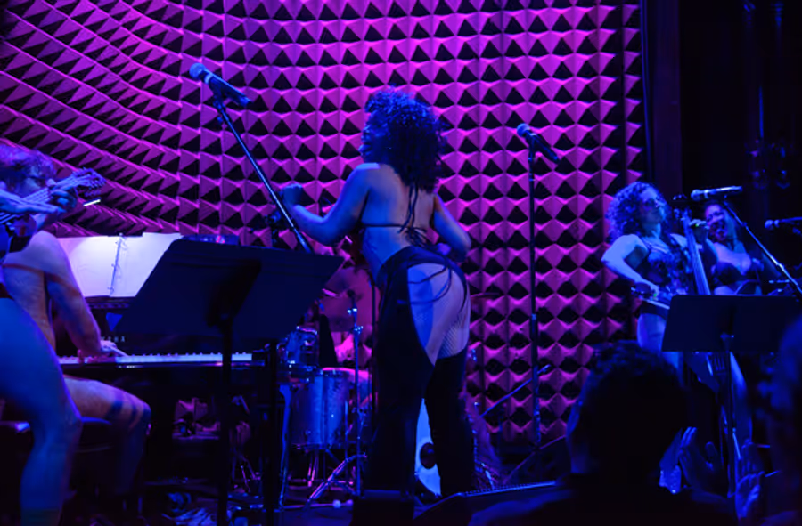 Photos: The Skivvies Got Down To It With A Roster Of Guests That Brought More Than Just Skin To Joe's Pub Image