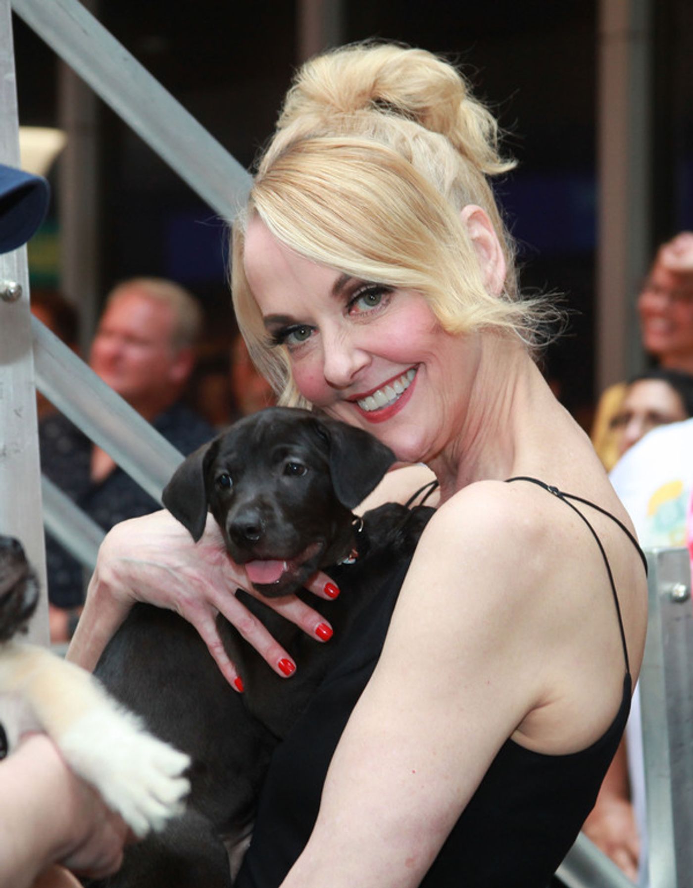 Photos: Inside the 25th Annual BROADWAY BARKS Adoption Event  Image