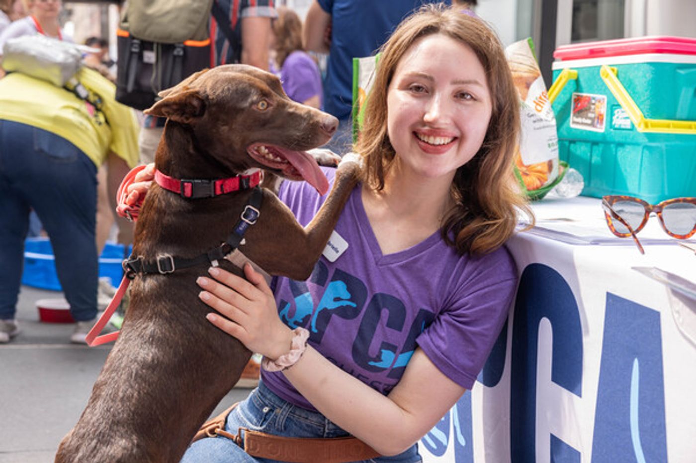Photos: Inside the 25th Annual BROADWAY BARKS Adoption Event  Image