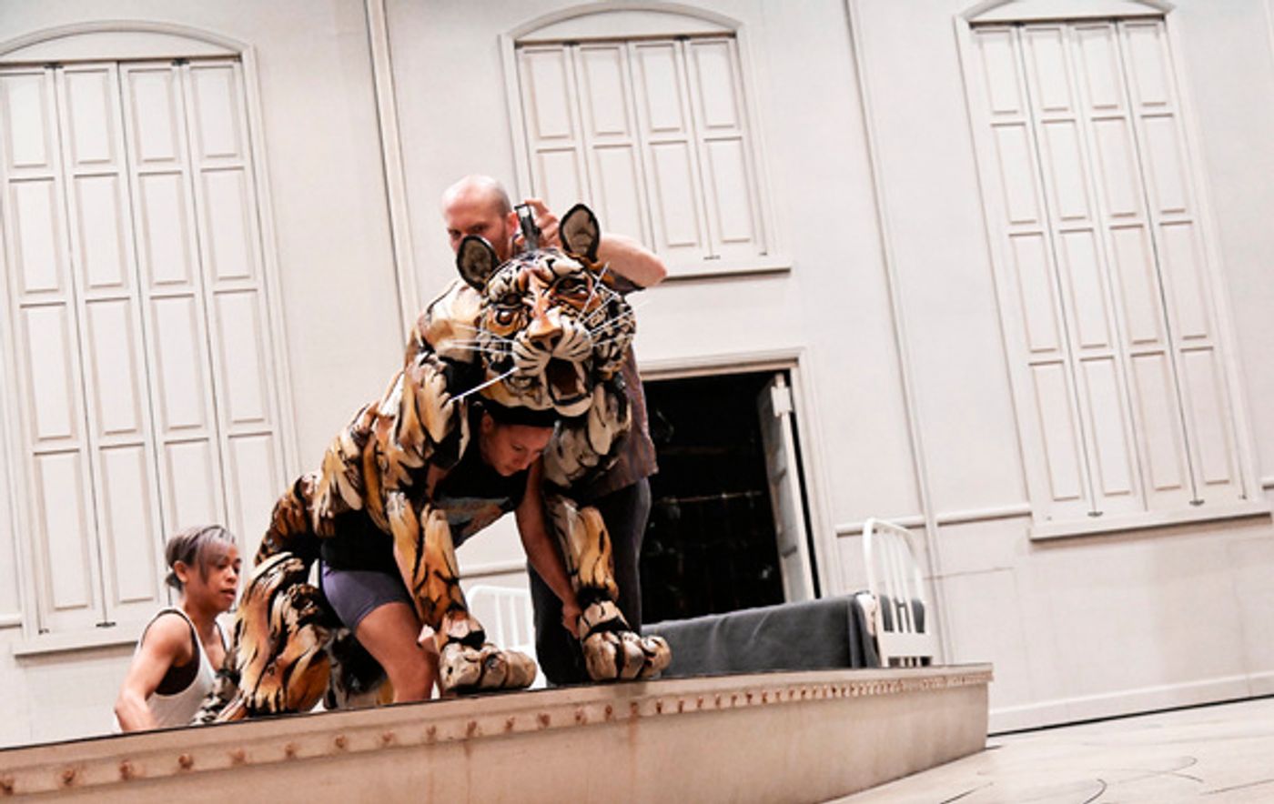 Photos: Get an Intimate Look at Backstage Life at LIFE OF PI on Broadway  Image