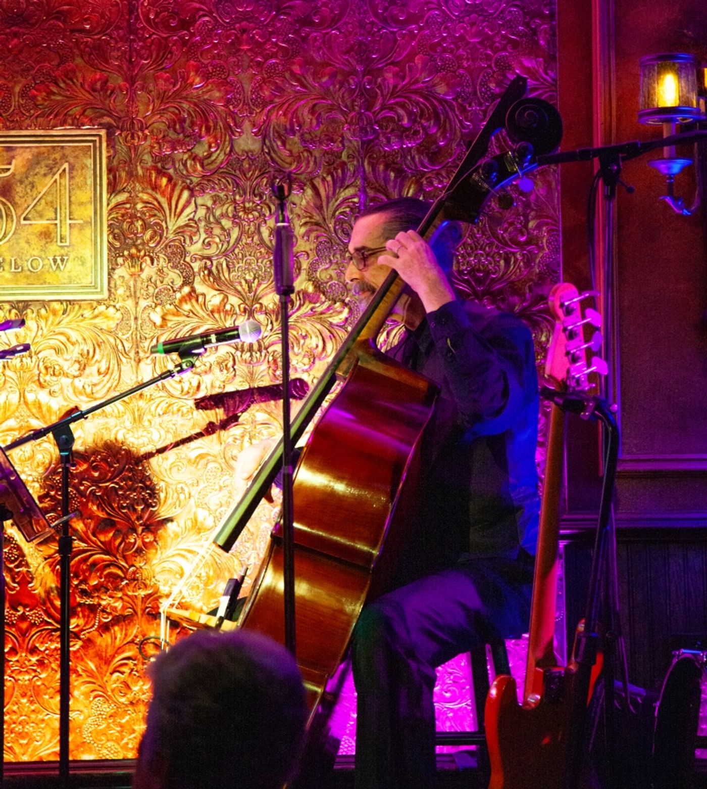 Review: Liz Callaway A Diamond In Every Way In SCREEN GEMS at 54 Below  Image