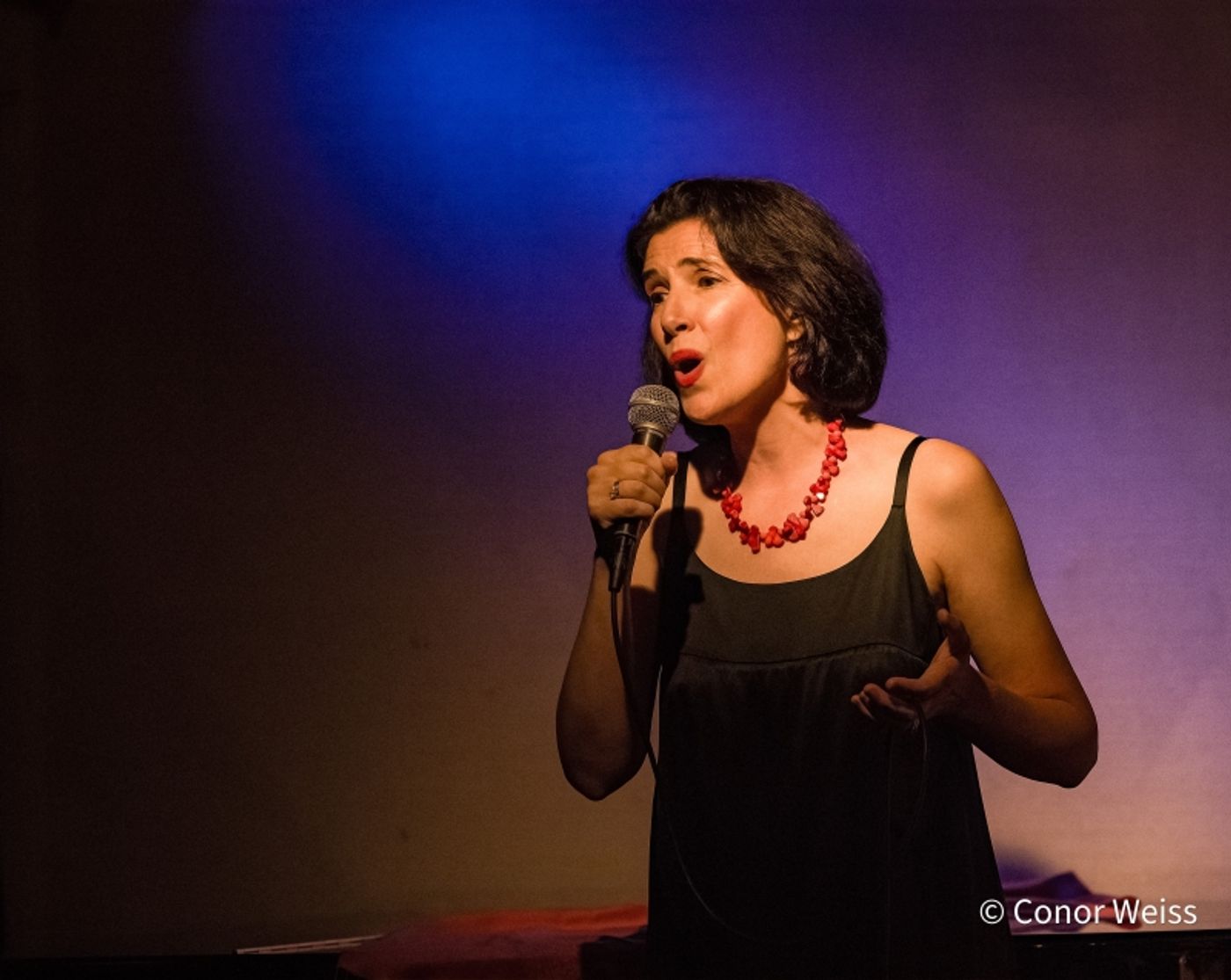 Photos: Conor Weiss Captures The MEG & JOHN REUNION SHOW at Don't Tell Mama Photos: Conor Weiss Captures The MEG & JOHN REUNION SHOW at Don't Tell Mama Image