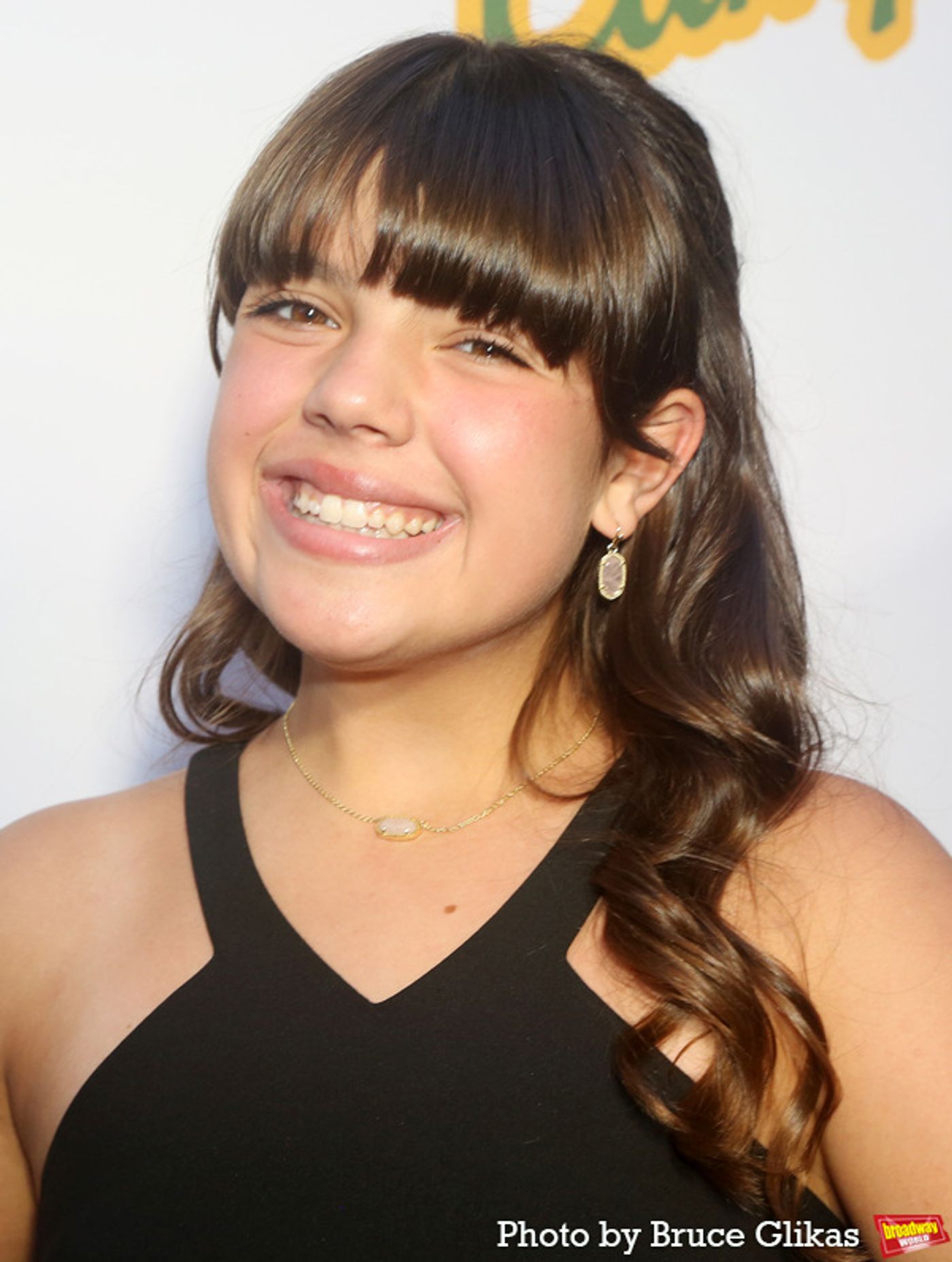 Photos: Inside the NYC Premiere of THEATER CAMP  Image