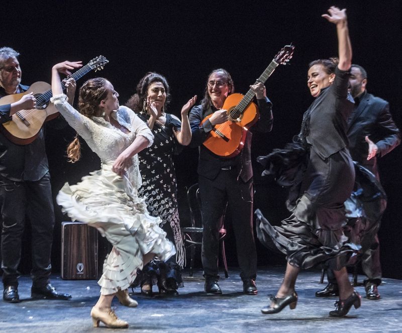 Interview: Mary Rose Lloyd Talks New Victory Dance 10th Anniversary Season Image