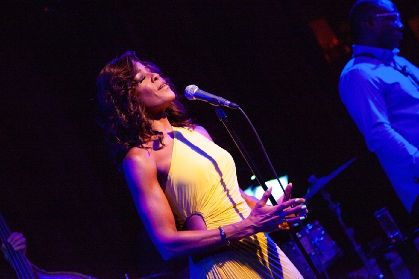 Review: NICOLE HENRY Packs The House For Birdland Debut Review: NICOLE HENRY Packs The House For Birdland Debut Image