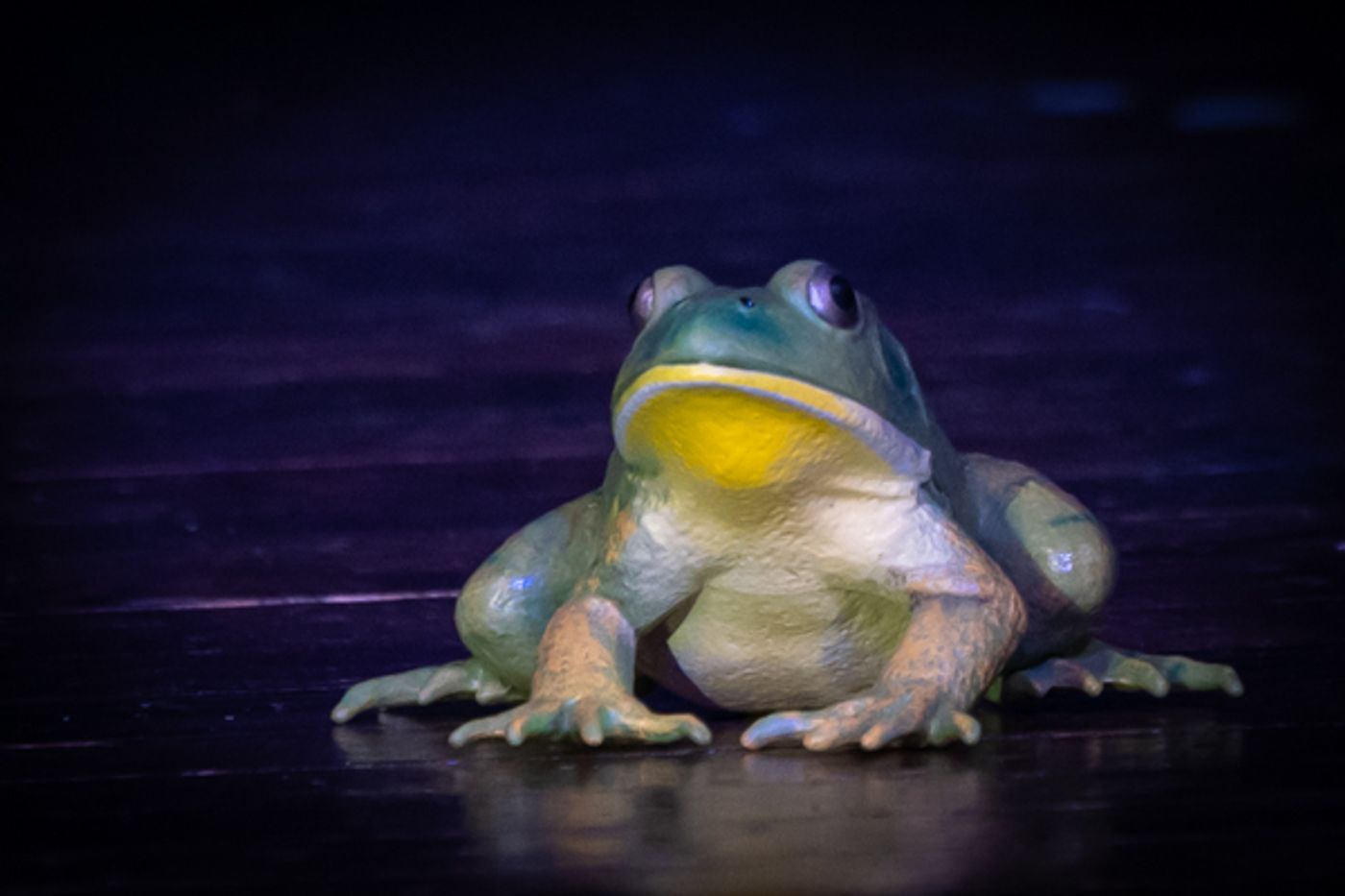 Photos: First look at Worthington Community Theatre's TUCK EVERLASTING  Image