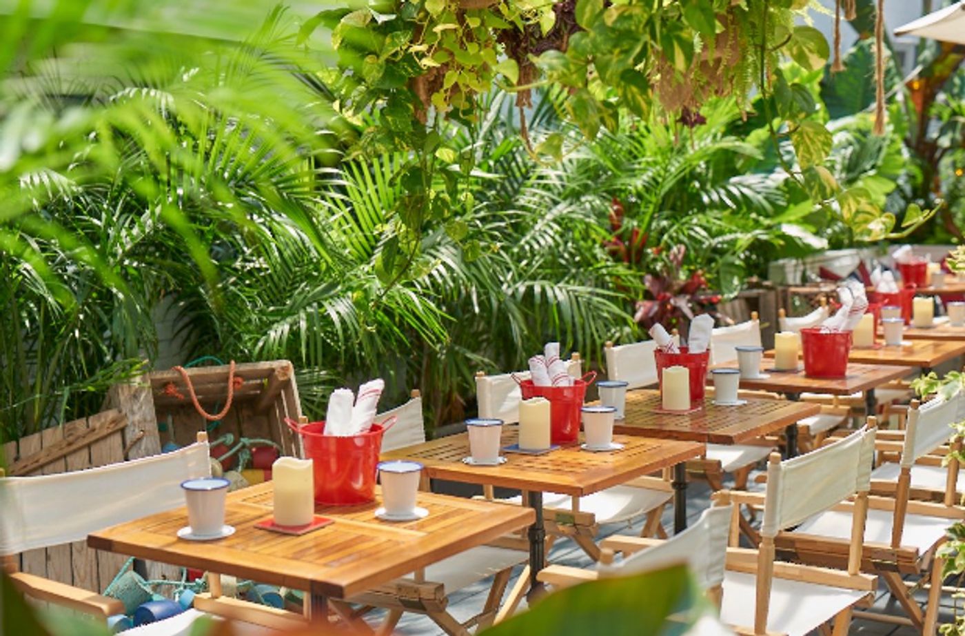 Review: GILLIGAN'S in SoHo-The Beachy Bar and Restaurant Delights Review: GILLIGAN'S in SoHo-The Beachy Bar and Restaurant Delights Image