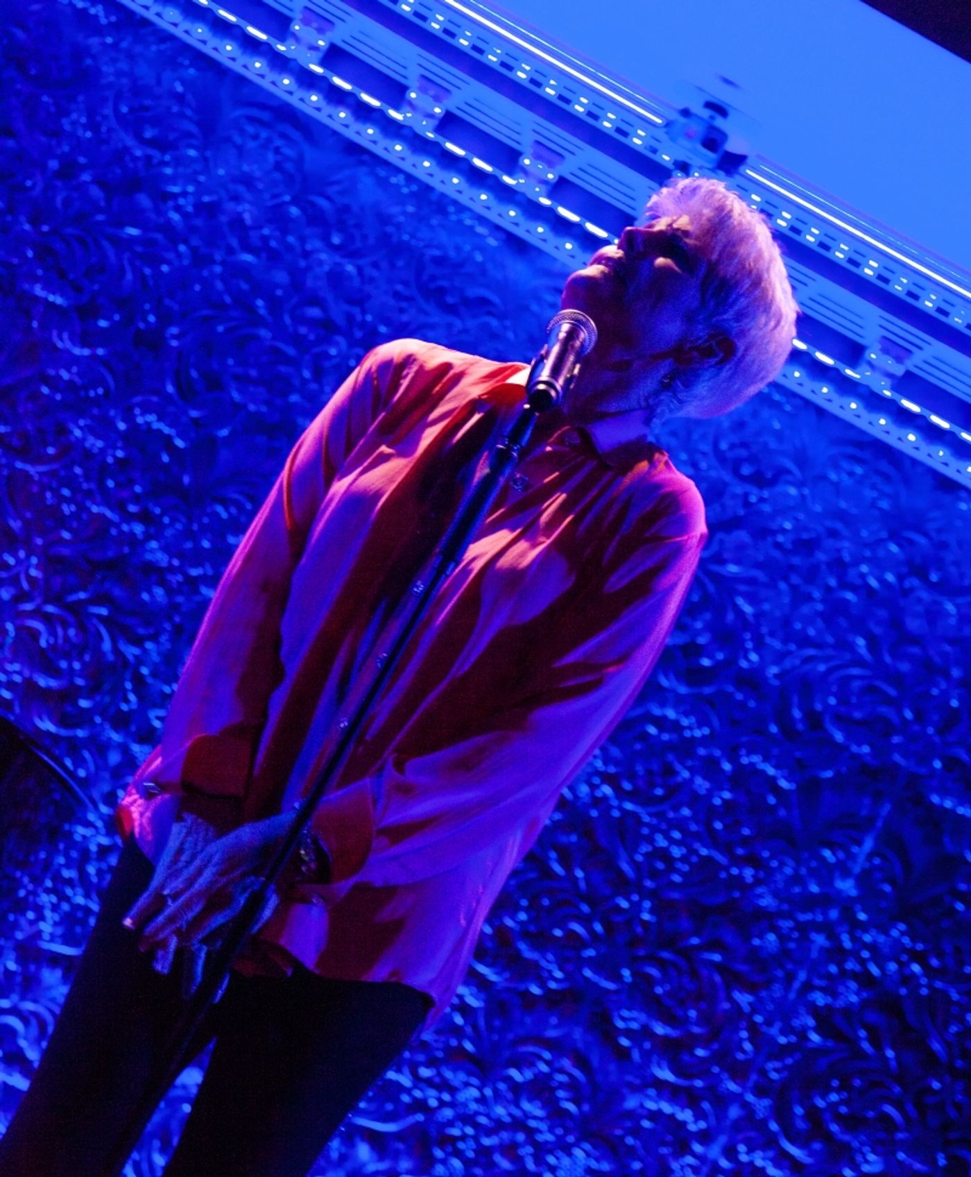 Review: Lucie Arnaz I GOT THE JOB! at 54 Below Plays All Her Songs Review: Lucie Arnaz I GOT THE JOB! at 54 Below Plays All Her Songs Image