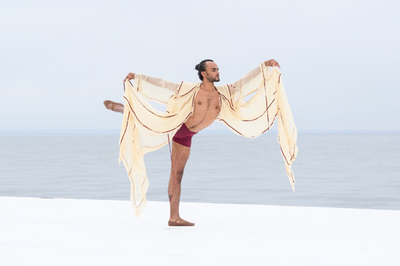 Photos & Video: Fire Island Dance Festival, Hosted by Alan Cumming, Breaks Fundraising Record  Image