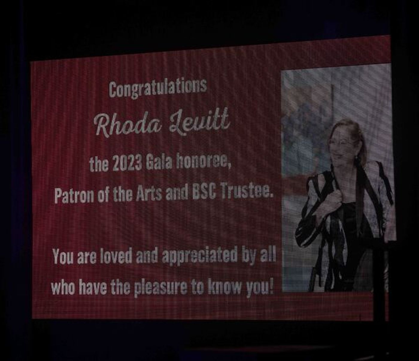 Photos: Inside Barrington Stage Company's 2023 Gala: A NIGHT AT THE KIT KAT CLUB  Image