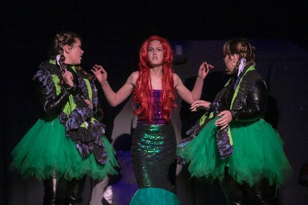 Photos: First Look At THE LITTLE MERMAID At The Victoria Players Children's Theatre  Image