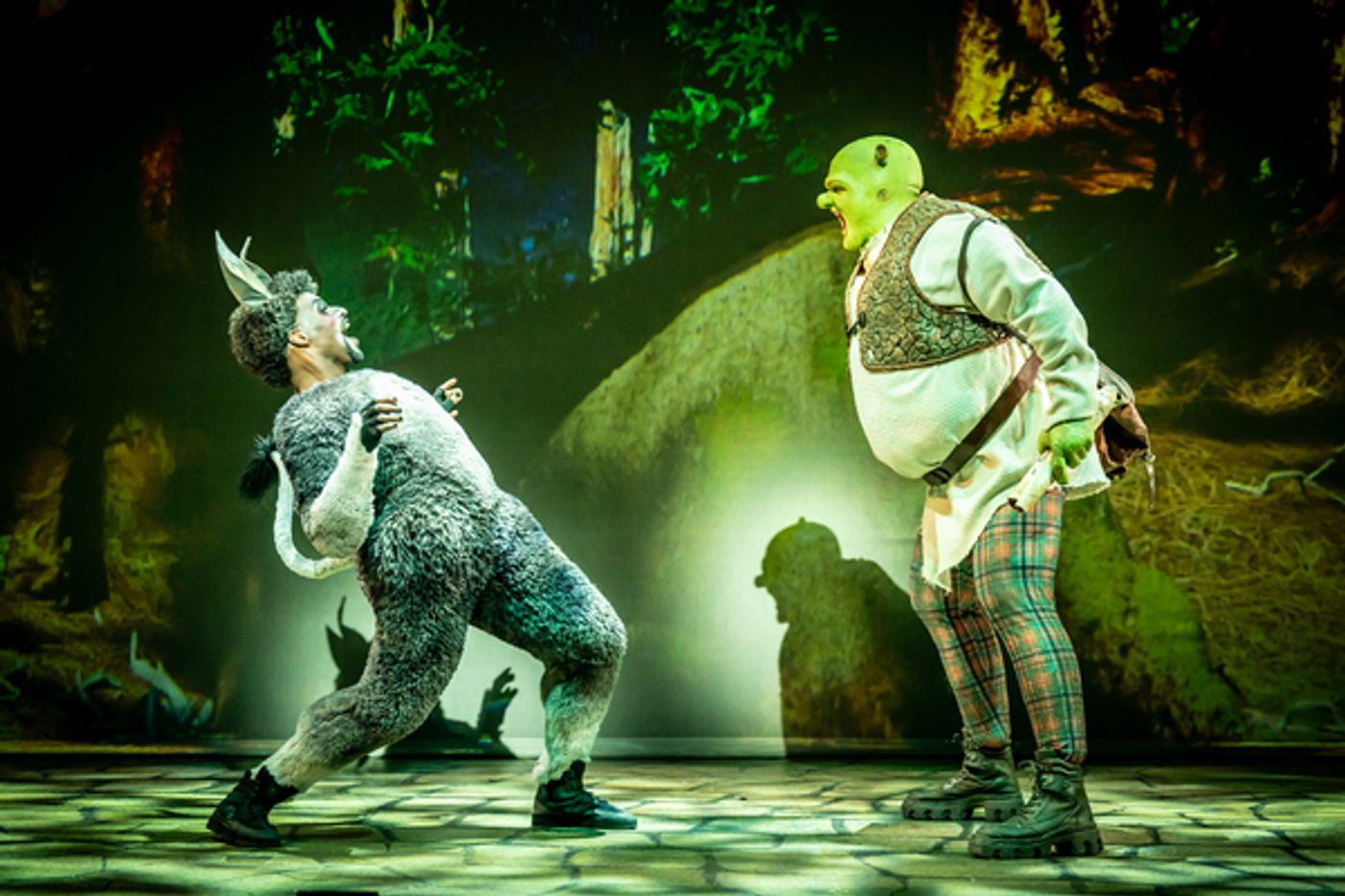 Photos/Video: First Look at SHREK THE MUSICAL UK Tour Photos/Video: First Look at SHREK THE MUSICAL UK Tour Image