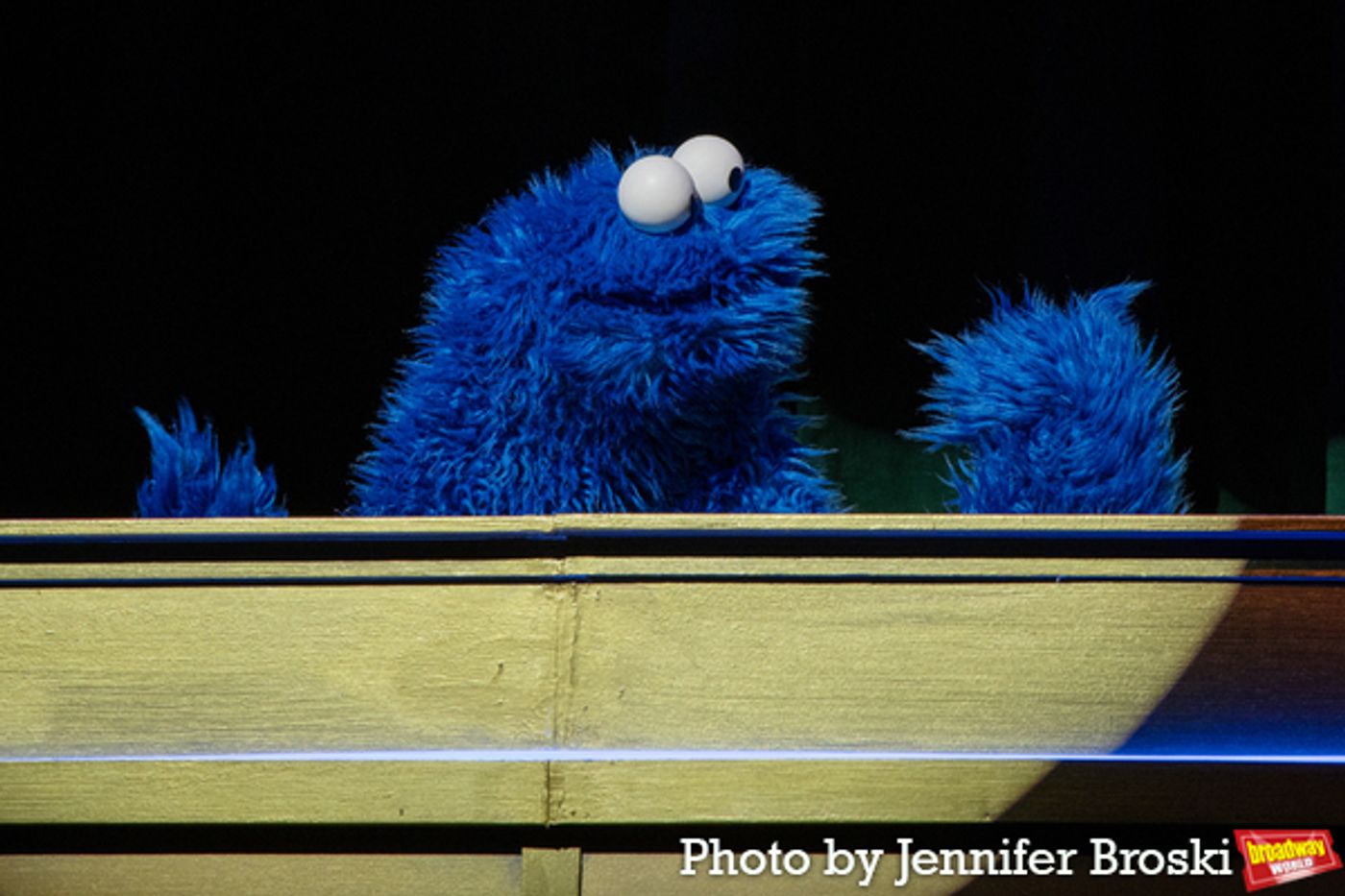 Photos: The Muppets of SESAME STREET Get Ready for Off-Broadway  Image