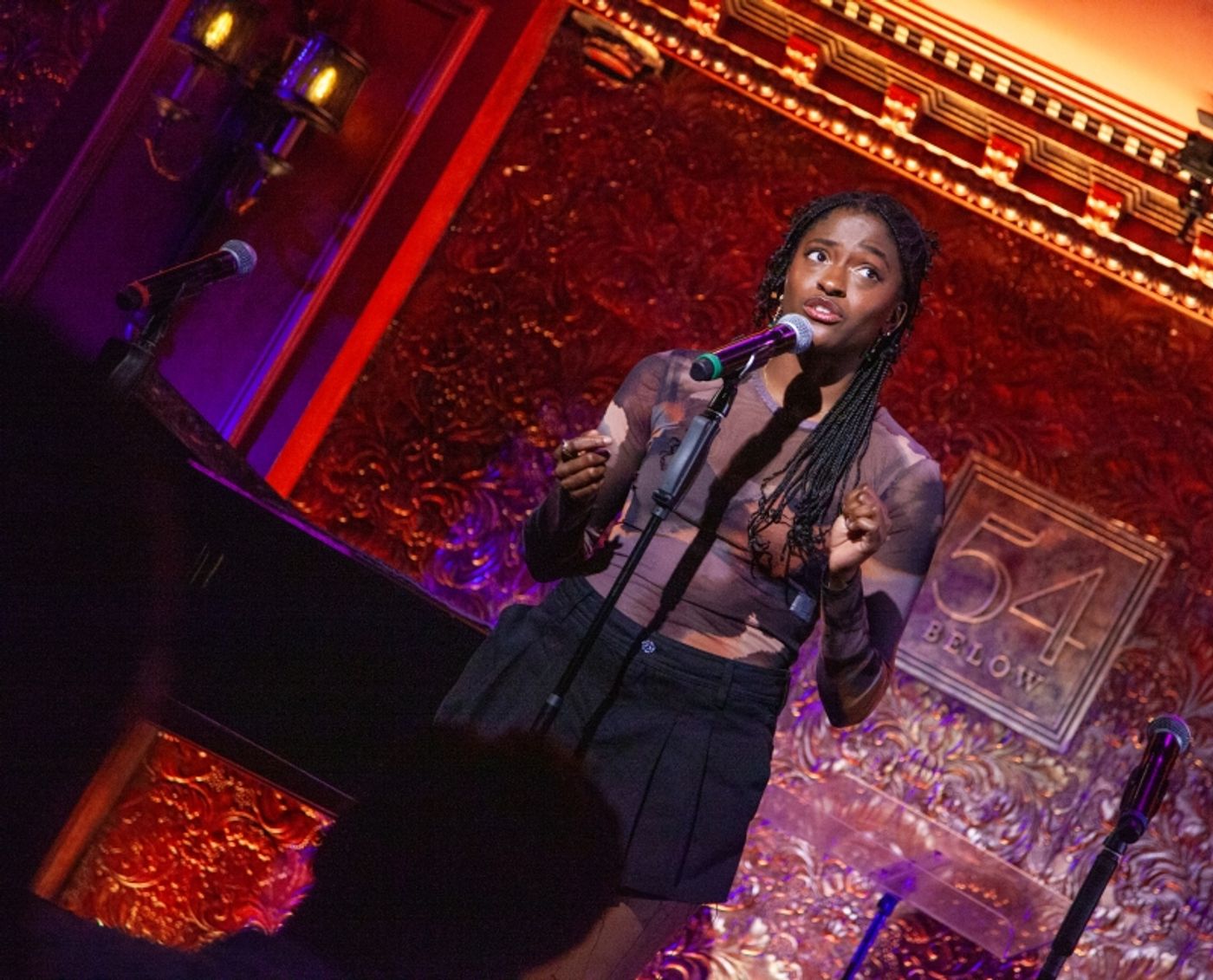 Photos: Alexandra Silber's I WISH: THE ROLES THAT COULD HAVE BEEN Stays First Rate At 54 Below Photos: Alexandra Silber's I WISH: THE ROLES THAT COULD HAVE BEEN Stays First Rate At 54 Below Image