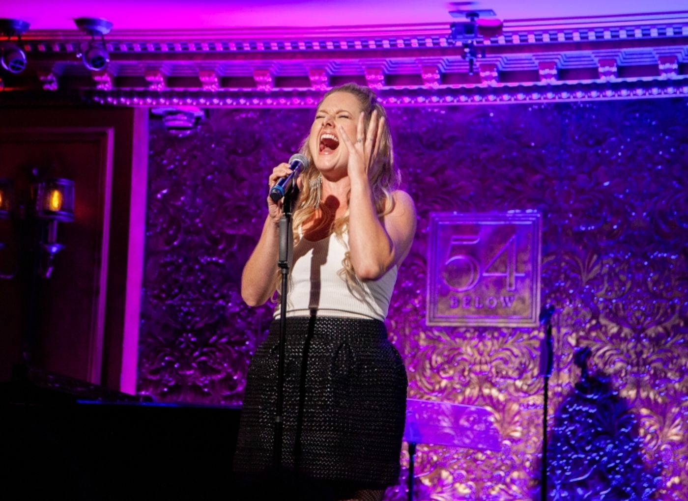 Photos: Alexandra Silber's I WISH: THE ROLES THAT COULD HAVE BEEN Stays First Rate At 54 Below Photos: Alexandra Silber's I WISH: THE ROLES THAT COULD HAVE BEEN Stays First Rate At 54 Below Image