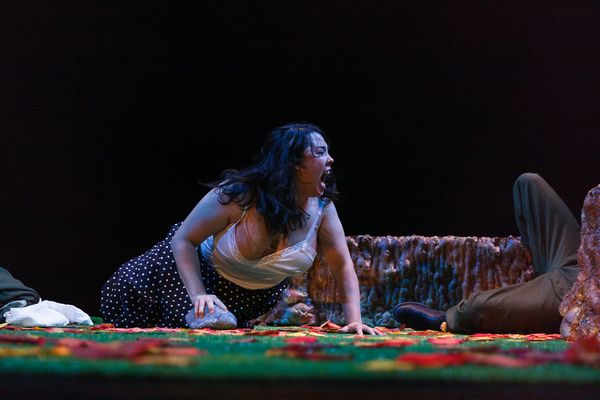 Photos: First Look at S. Dylan Zwickel's THE MOSS MAIDENS, Now Streaming through Sunday  Image