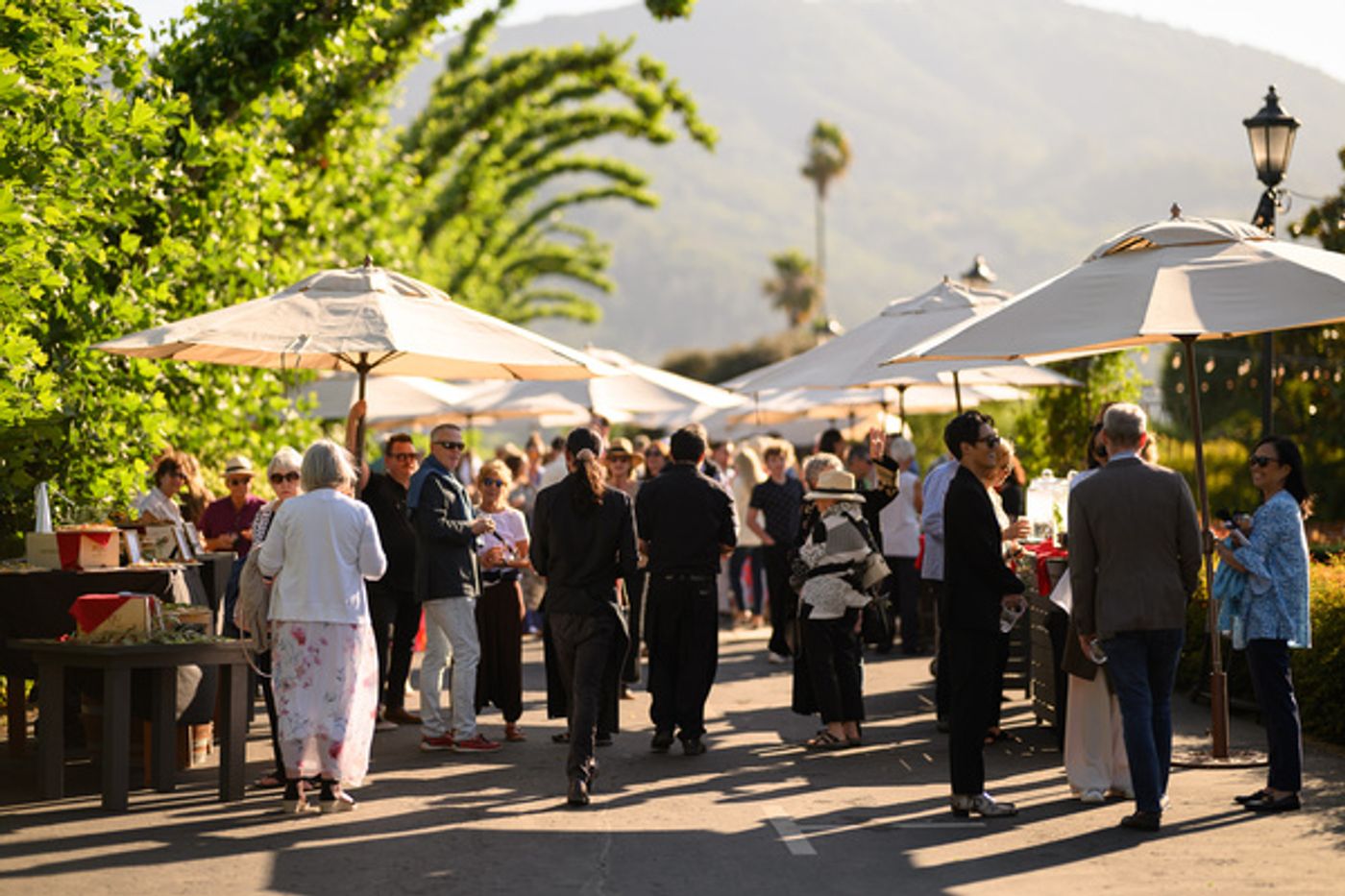 Photos: Sutton Foster Performs at Peju Winery as Part of Broadway and Vine's Summer 2023 Season  Image