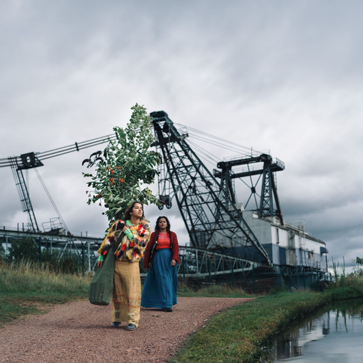 Photos: First Look at NEST at St Aidan's RSPB Nature Park  Image