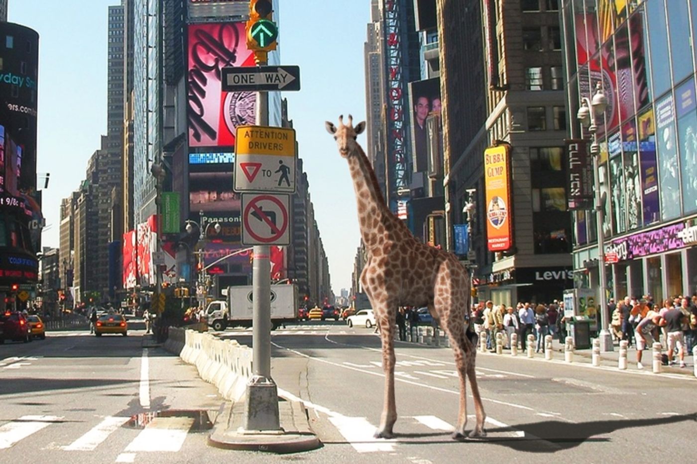 Student Blog: Animals Go To Broadway  Image