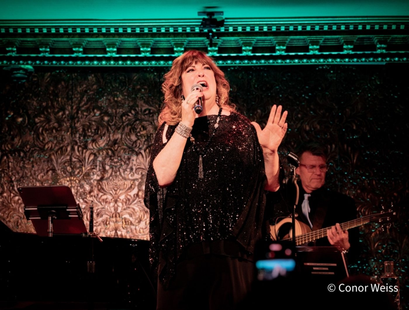 Photos: ANN HAMPTON CALLAWAY SINGS THE SEVENTIES Opens At 54 Below  Image