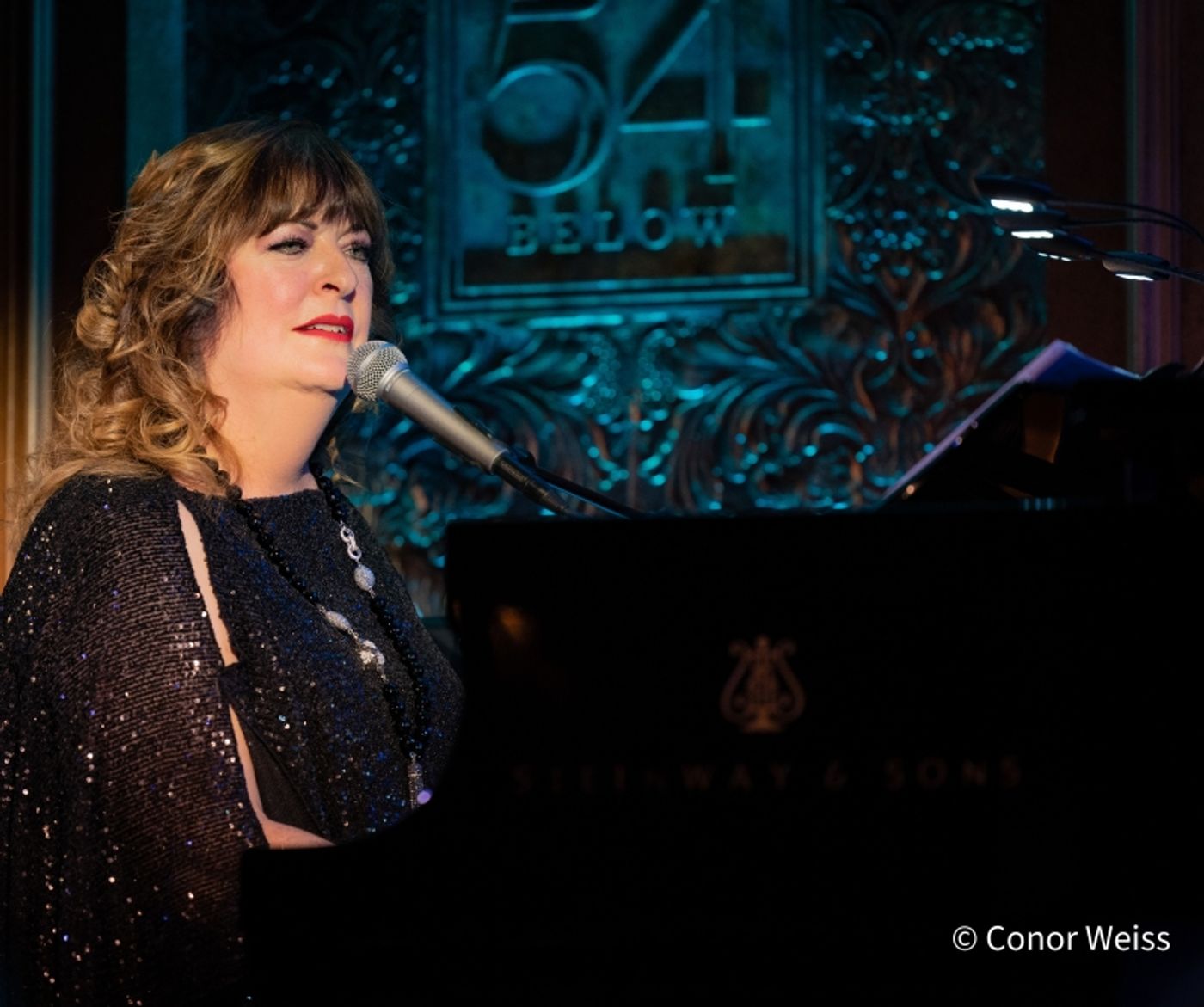 Photos: ANN HAMPTON CALLAWAY SINGS THE SEVENTIES Opens At 54 Below  Image