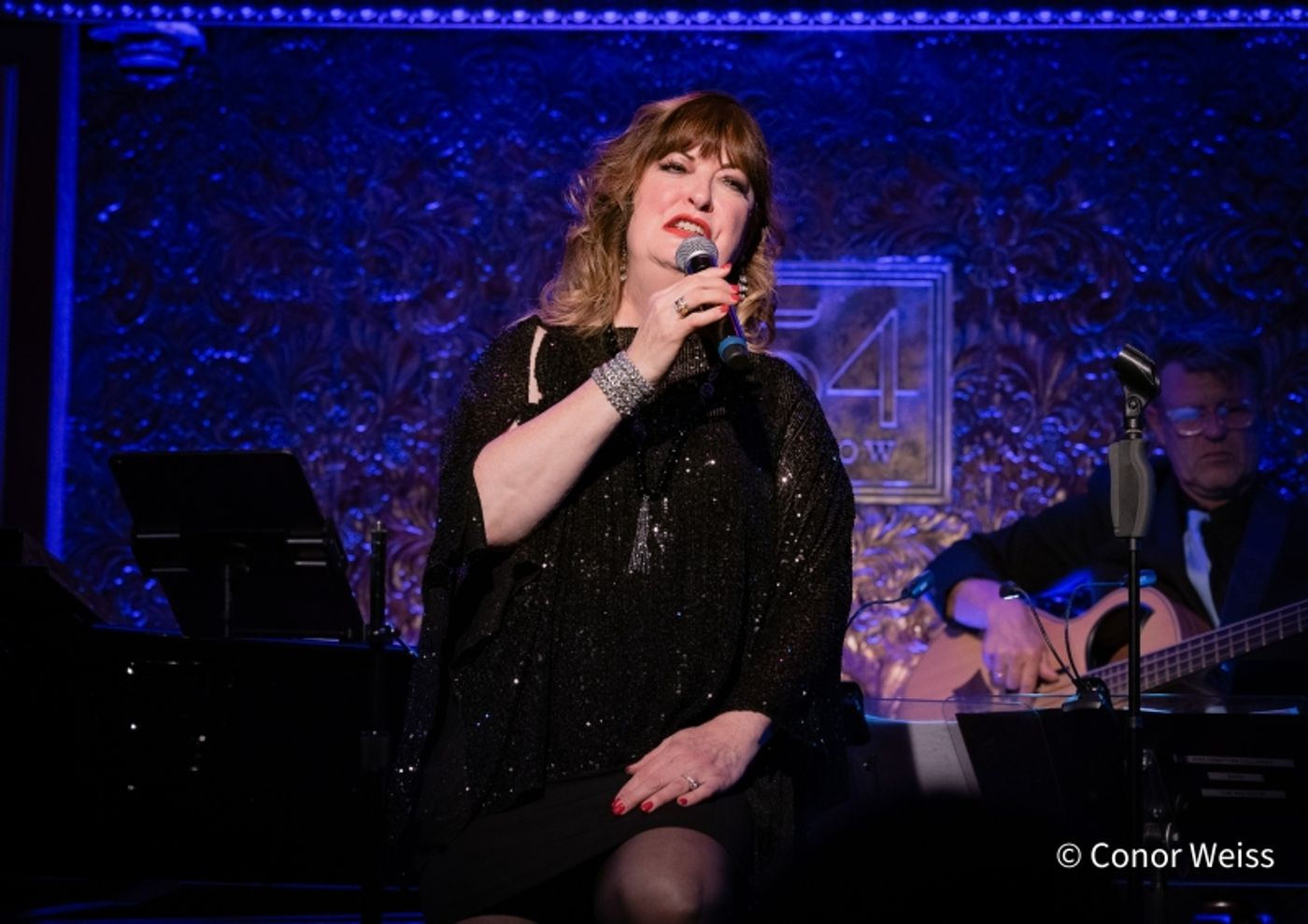Photos: ANN HAMPTON CALLAWAY SINGS THE SEVENTIES Opens At 54 Below  Image