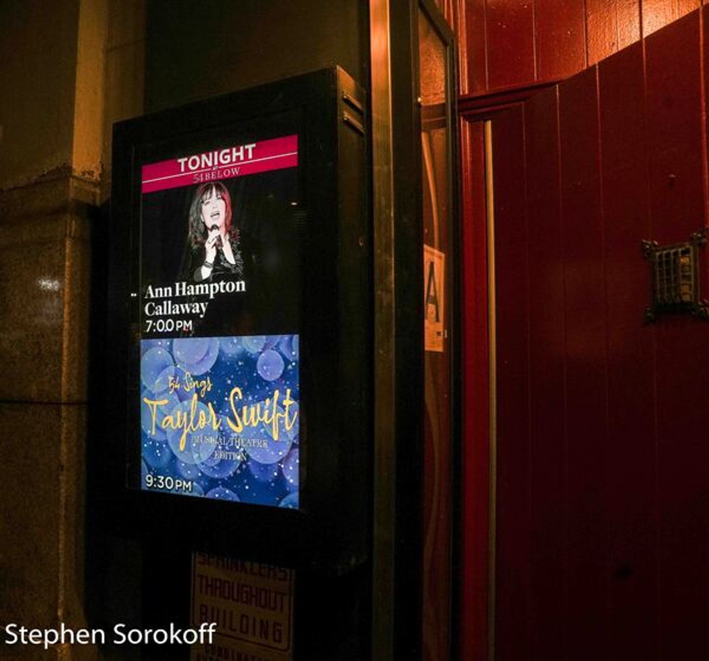 Photos: ANN HAMPTON CALLAWAY SINGS THE SEVENTIES at 54 Below  Image