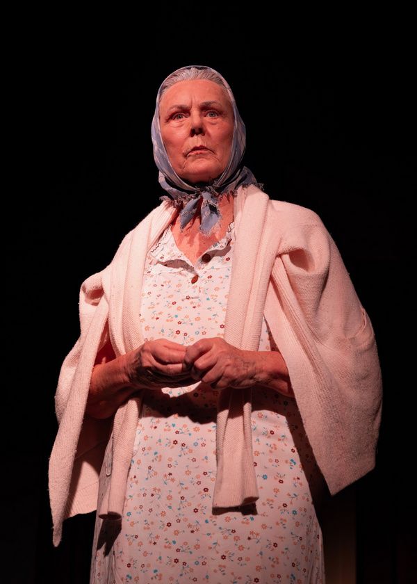 Photos: First Look At YASHICA 8 By Kevin Sosbe At The Sherman Playhouse, August 11-20  Image