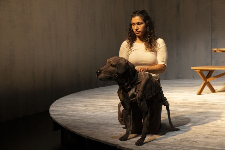REVIEW: Charlotte Wood's THE WEEKEND Is Given The Stage Treatment With Sue Smith's Adaptation.  Image