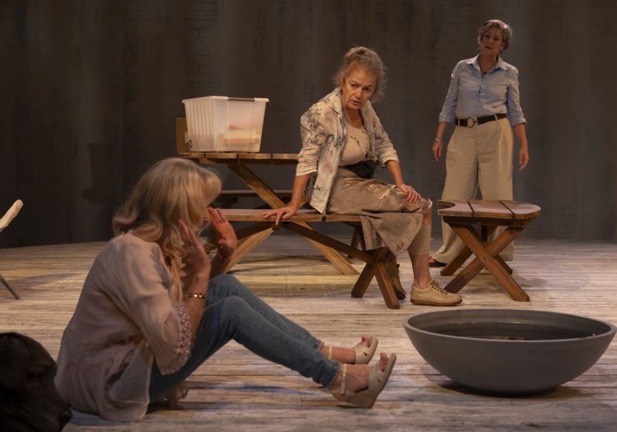 REVIEW: Charlotte Wood's THE WEEKEND Is Given The Stage Treatment With Sue Smith's Adaptation.  Image