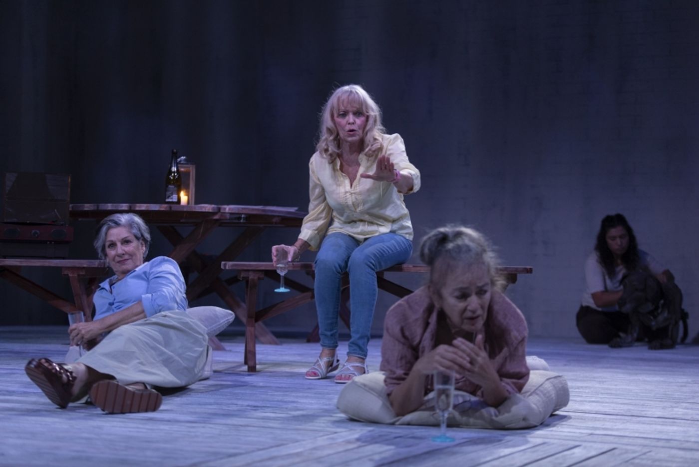 REVIEW: Charlotte Wood's THE WEEKEND Is Given The Stage Treatment With Sue Smith's Adaptation.  Image