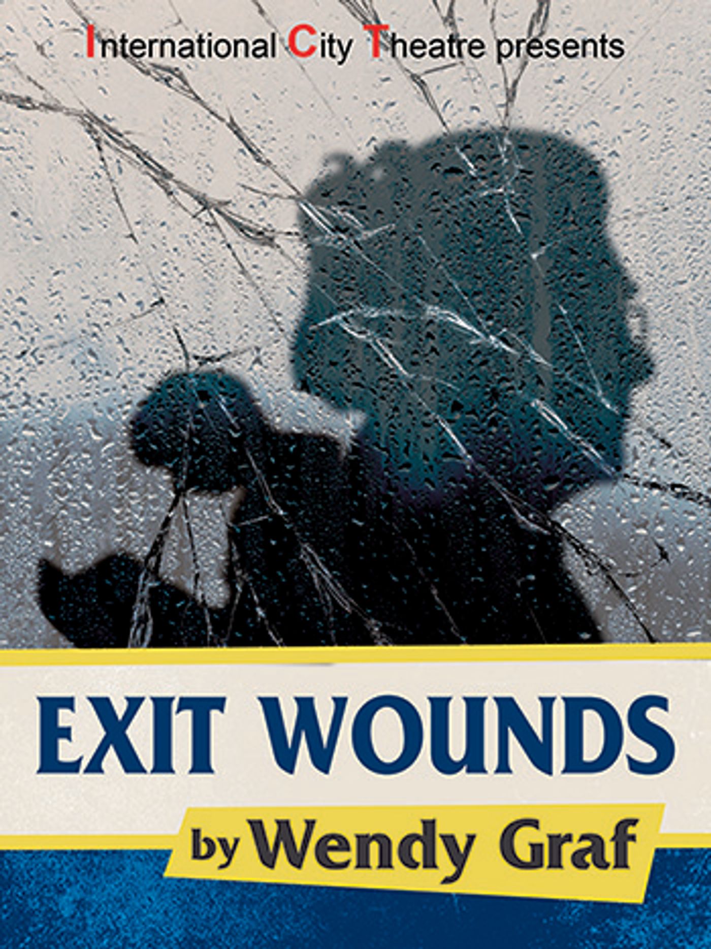 Interview: Playwright Wendy Graf on EXIT WOUNDS World Premiere at International City Theatre  Image