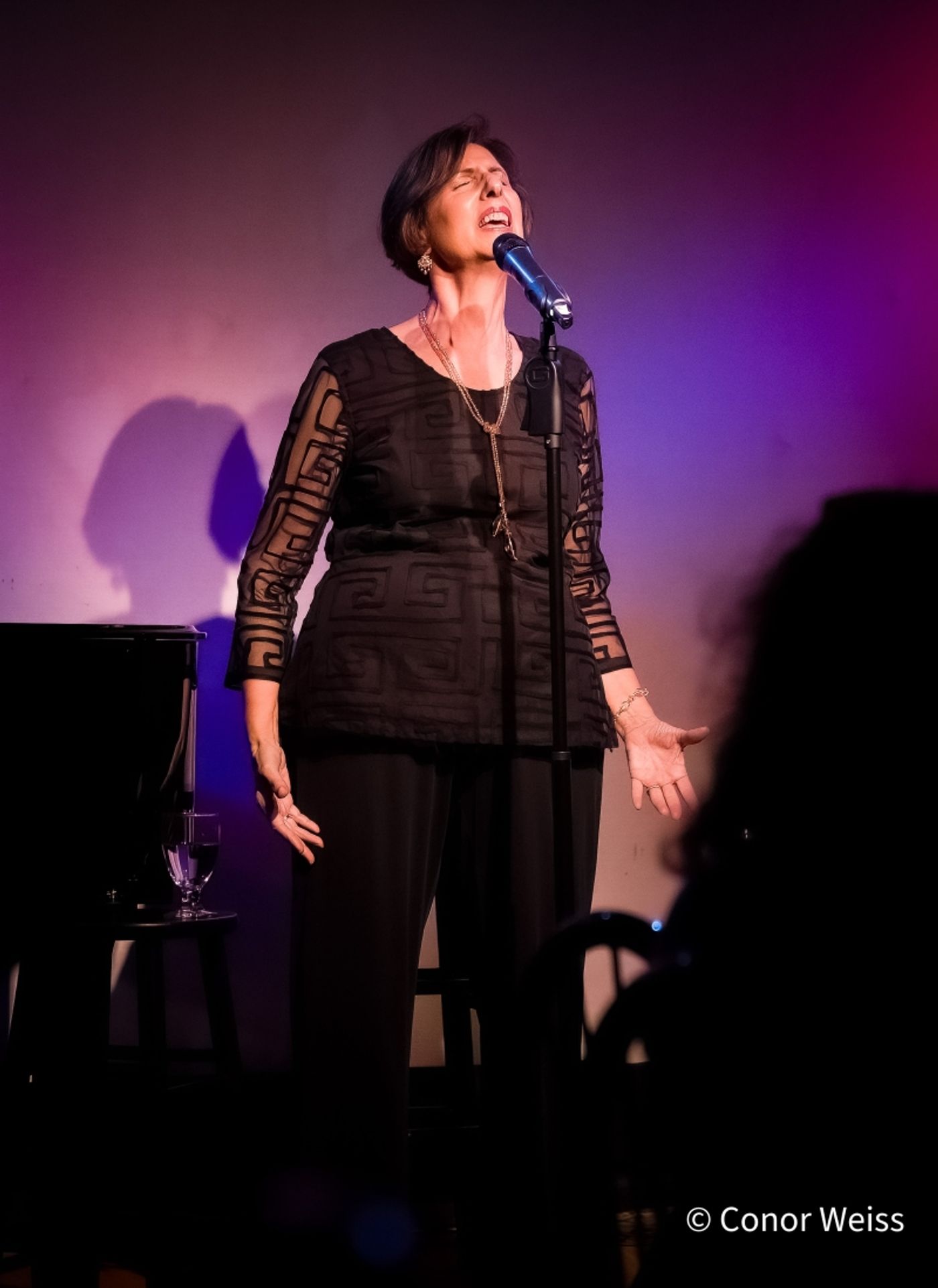 Photos: Lucille Carr-Kaffashan UNWRITTEN at Don't Tell Mama Photos: Lucille Carr-Kaffashan UNWRITTEN at Don't Tell Mama Image