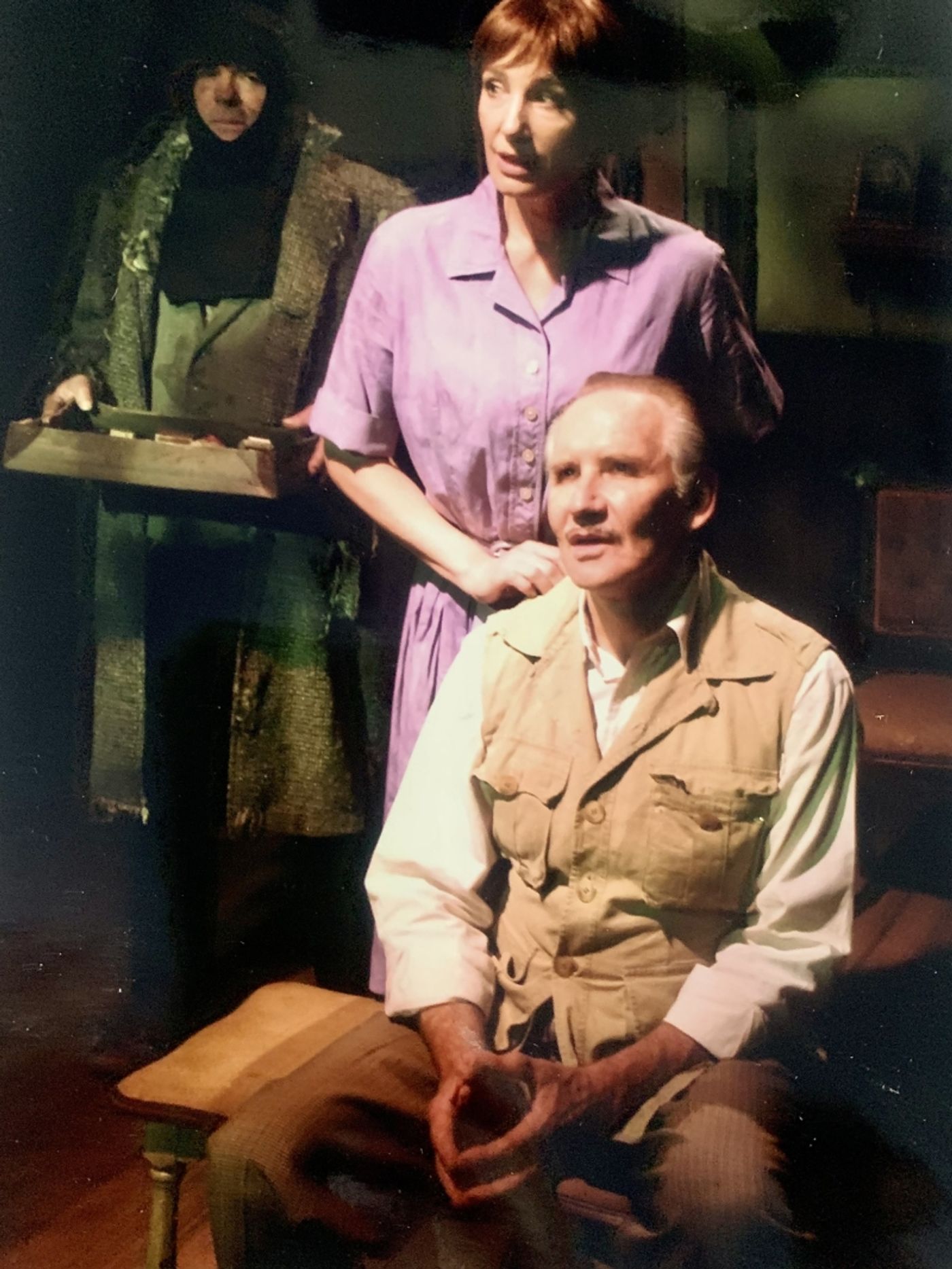 Interview: Susan Priver On Returning To Harold Pinter's A SLIGHT ACHE After 17 Years  Image