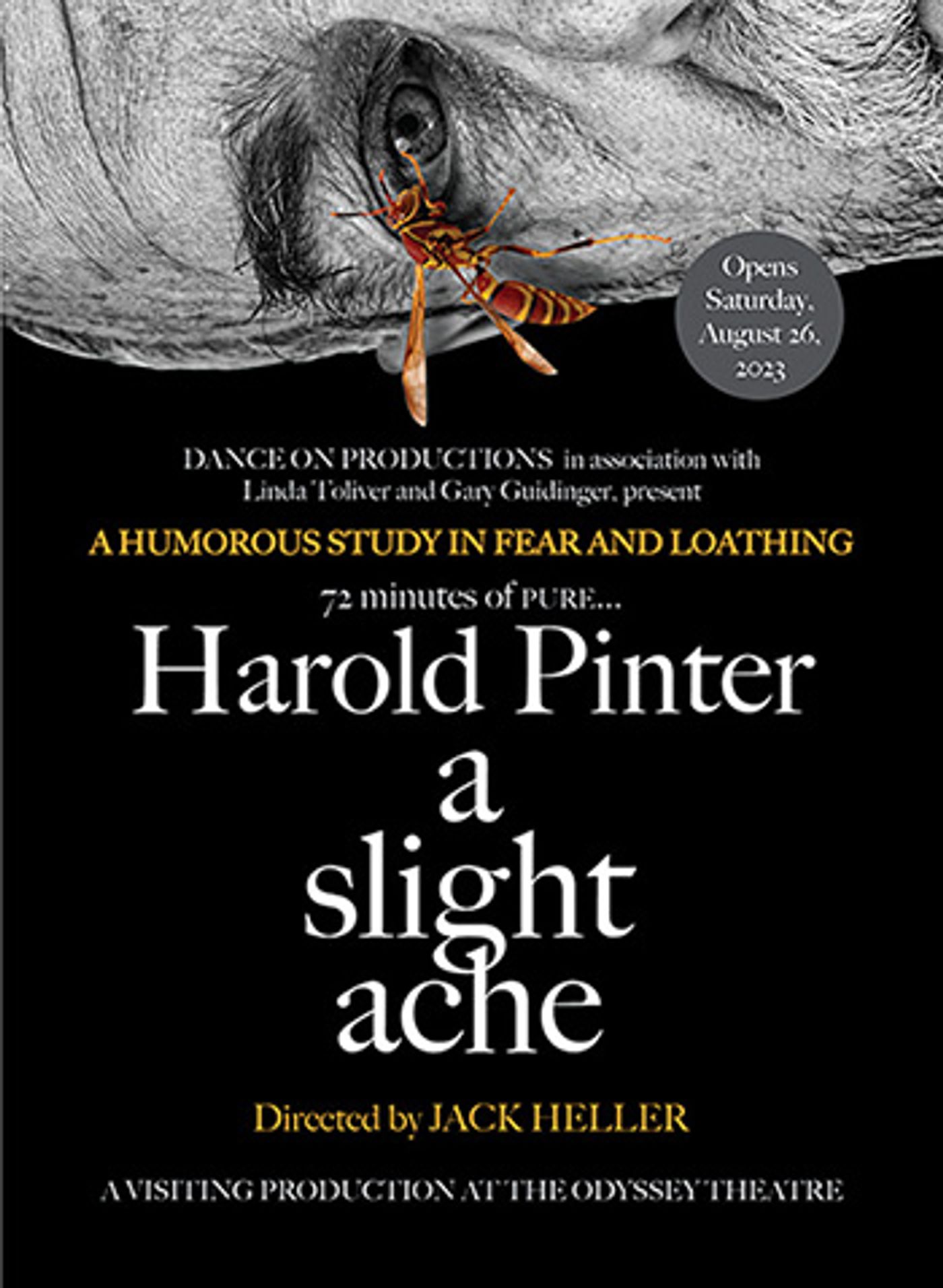 Interview: Susan Priver On Returning To Harold Pinter's A SLIGHT ACHE After 17 Years  Image