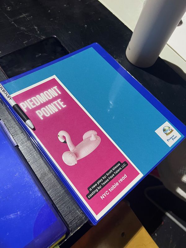 Photos: PIEDMONT POINTE Begins Rehearsals At Theatre Row  Image