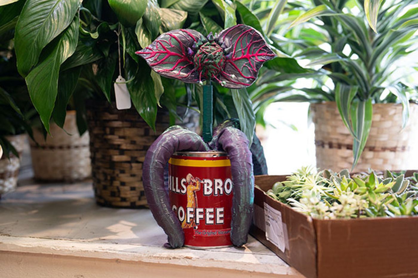 Photos: First Look At The Cast of LITTLE SHOP OF HORRORS At Paramount Theatre  Image