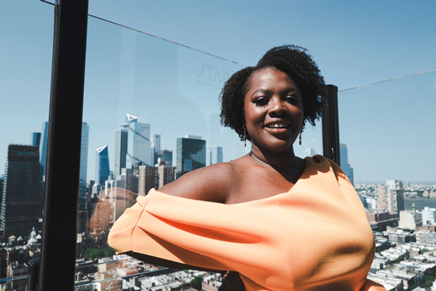 Photos: See Portraits of the Company of PURLIE VICTORIOUS  Image