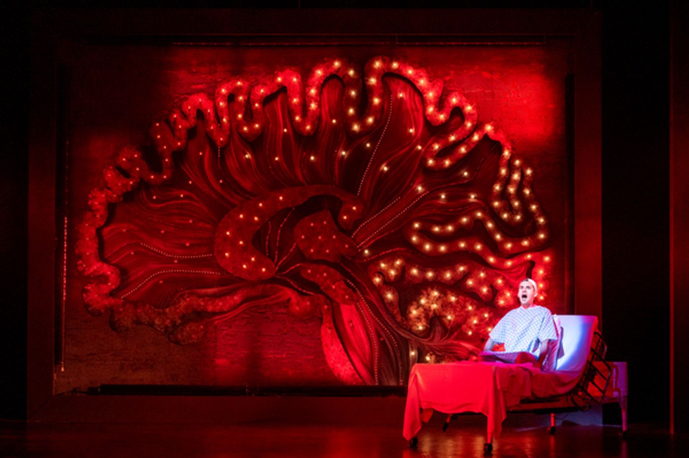 Photos: See Adam Chanler-Berat, Mary Testa & More in A NEW BRAIN at Barrington Stage Company  Image