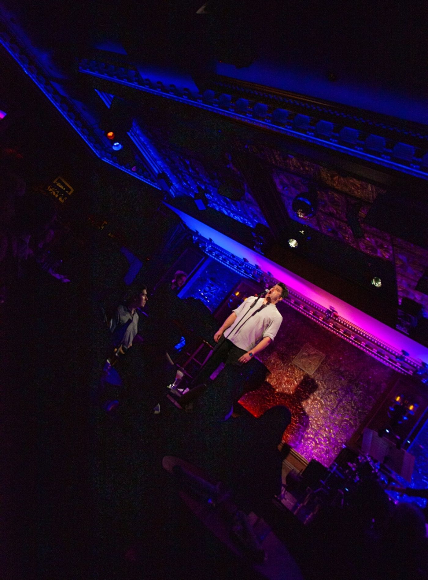 Photos: Ben Crawford SONGS I LIKE TO SING THAT I HOPE YOU'LL LIKE TO HEAR at 54 Below  Image