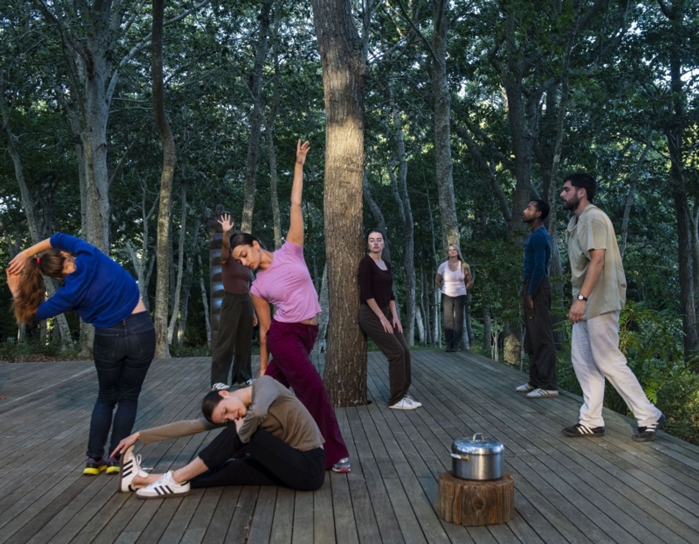 Robert Wilson's Watermill Center Gala Honors Dance and Visual Artist Simone Forti  Image