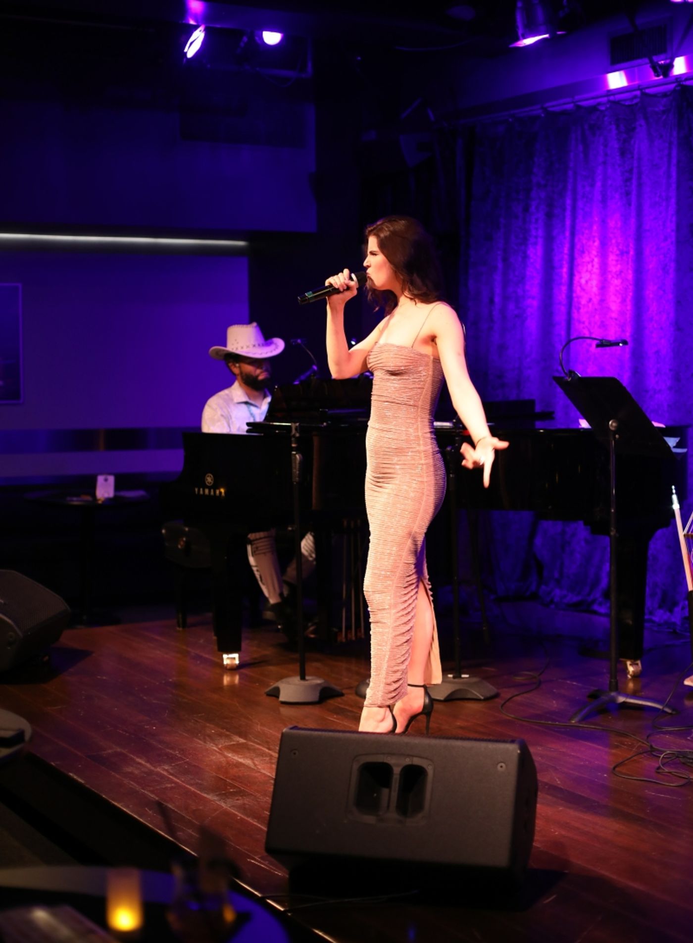 Photos: August 29th THE LINEUP WITH SUSIE MOSHER at Birdland Theater  Image