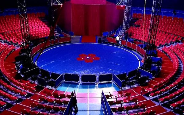 Photos: Do Portugal Circus Begins Staten Island Residency Through September 17  Image