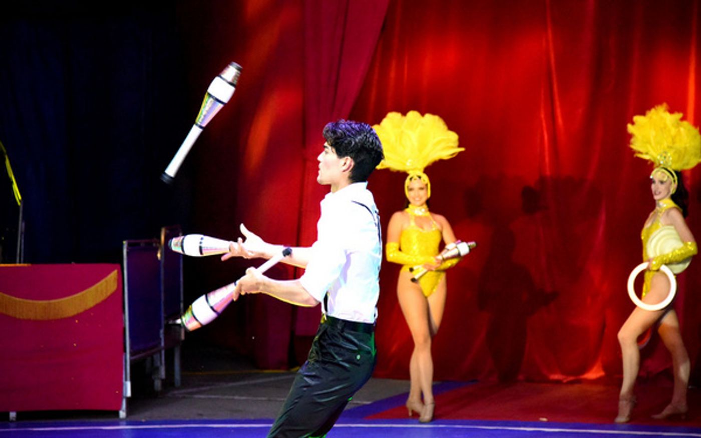 Photos: Do Portugal Circus Begins Staten Island Residency Through September 17 Photos: Do Portugal Circus Begins Staten Island Residency Through September 17 Image