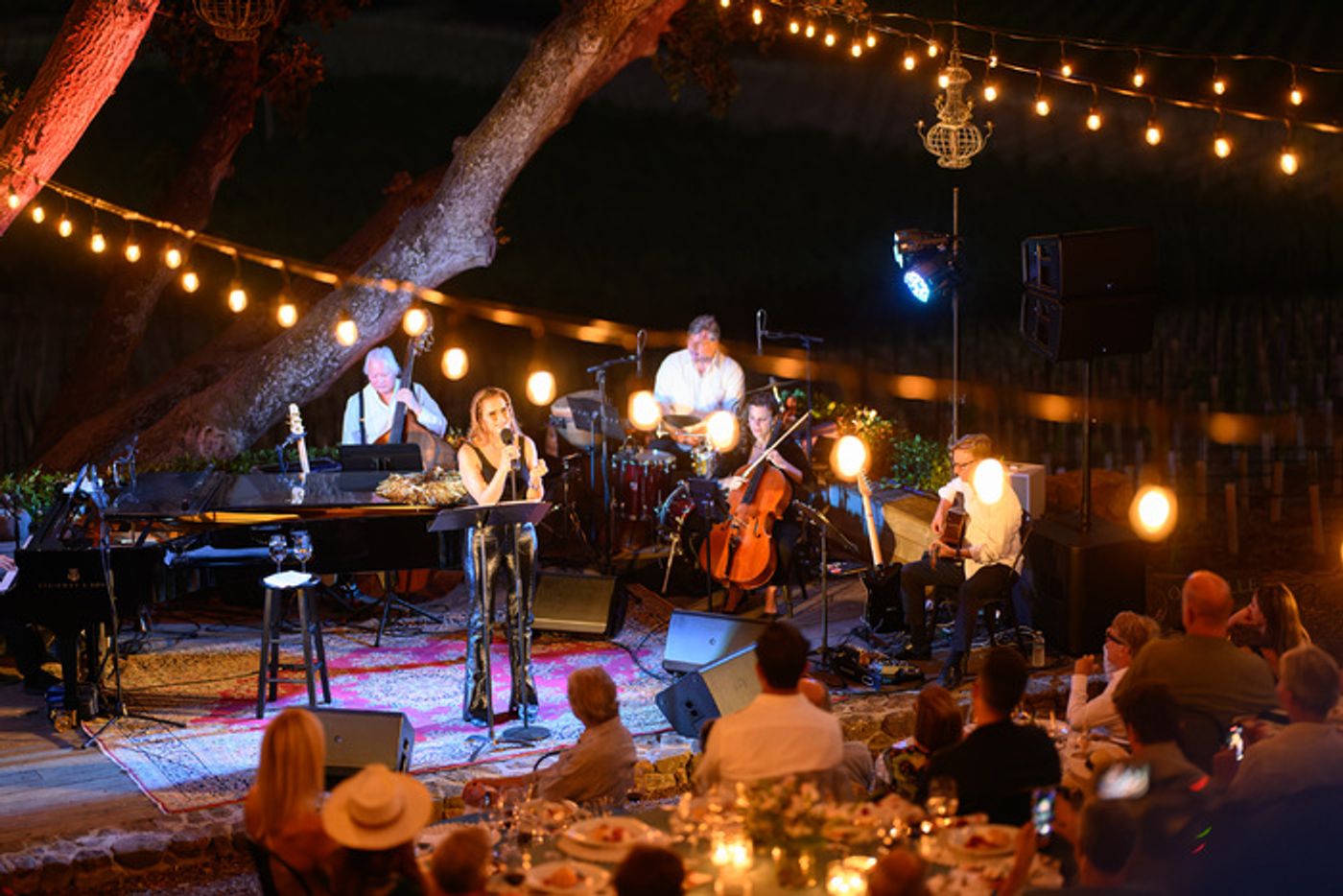 Photos: Brooke Shields Debuts New Show PREVIOUSLY OWNED BY BROOKE SHIELDS at Broadway and Vine  Image