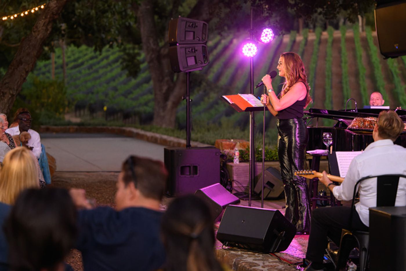 Photos: Brooke Shields Debuts New Show PREVIOUSLY OWNED BY BROOKE SHIELDS at Broadway and Vine  Image