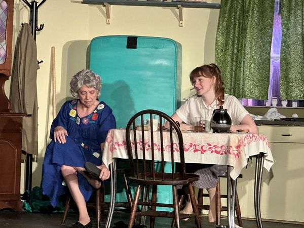 Photos: First Look At COME BACK, LITTLE SHEBA At Haines City Theatre  Image