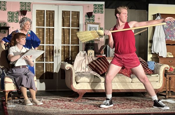 Photos: First Look At COME BACK, LITTLE SHEBA At Haines City Theatre  Image